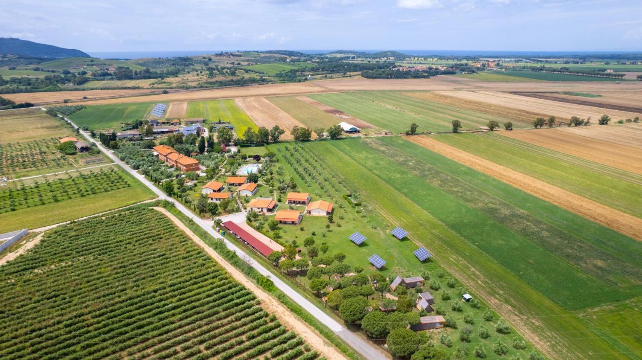 Glamping Gli Etruschi Ξενοδοχείο Πιομπίνο Εξωτερικό φωτογραφία